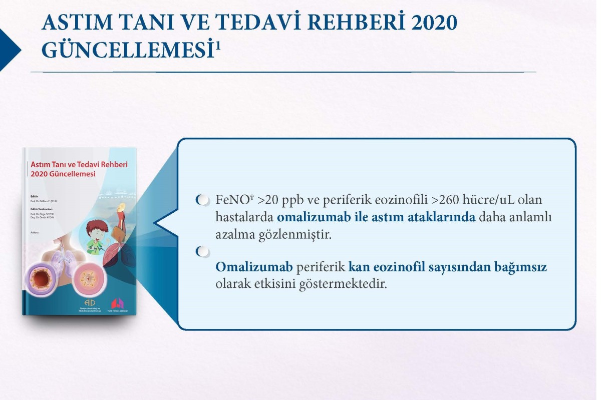 ige etkisi ige etkisi