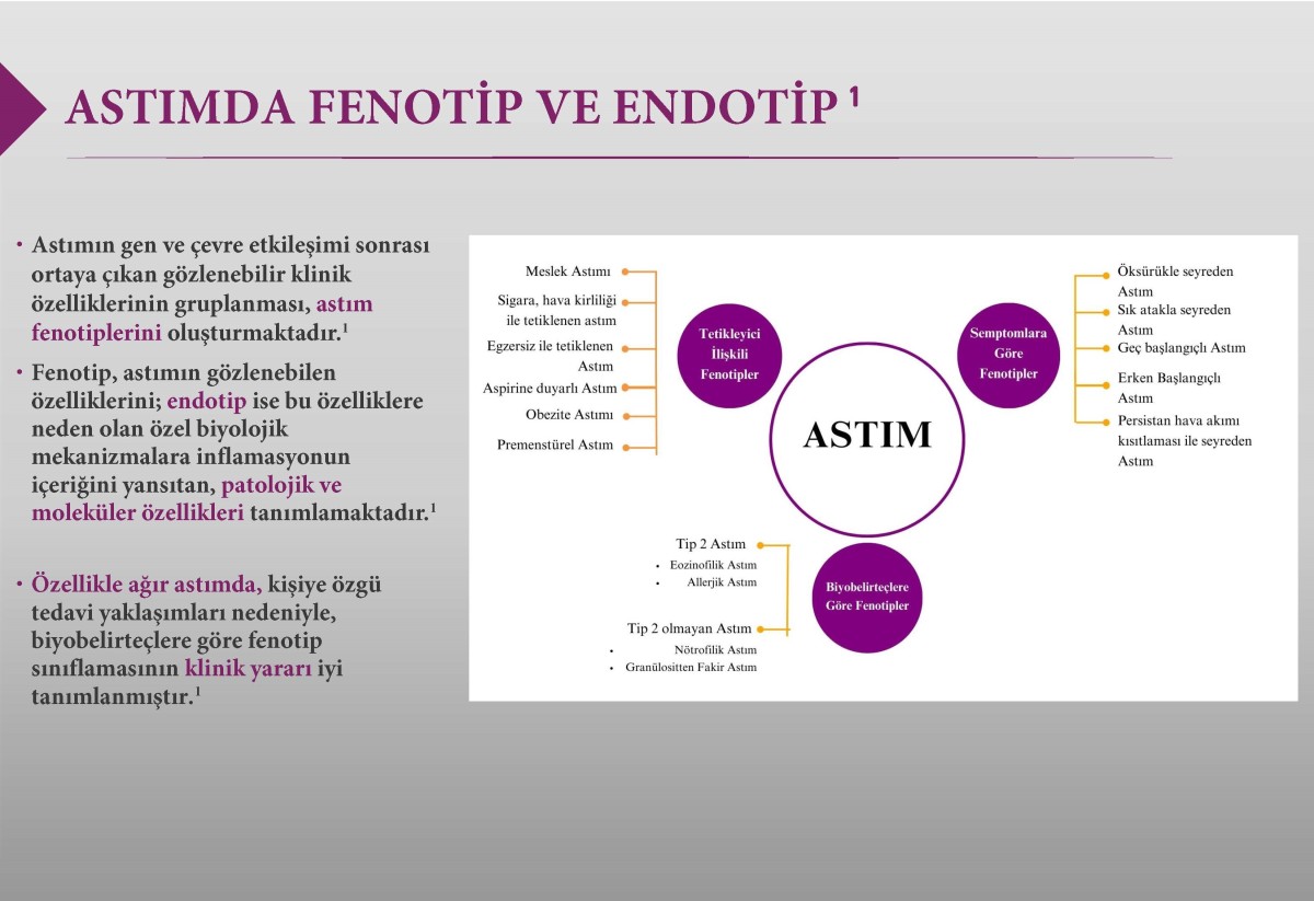 astim-fenotip-endotip astim-fenotip-endotip