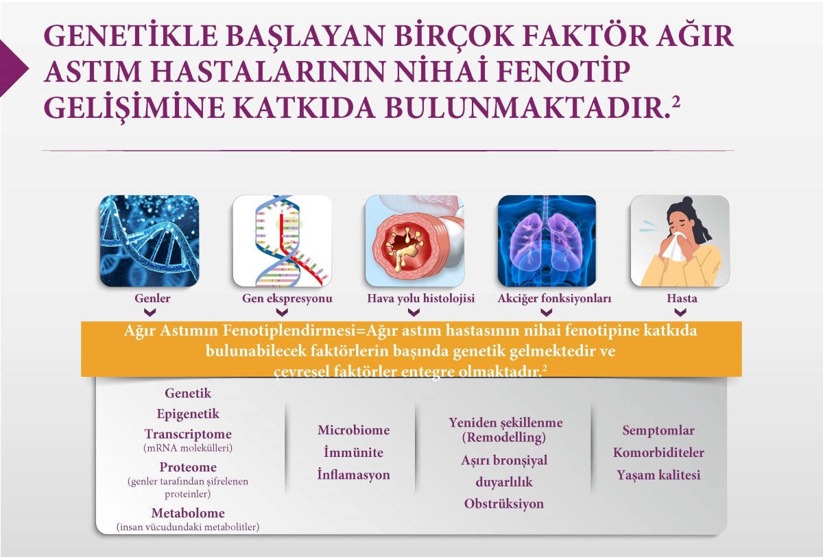 astım fenotipleri astım fenotipleri