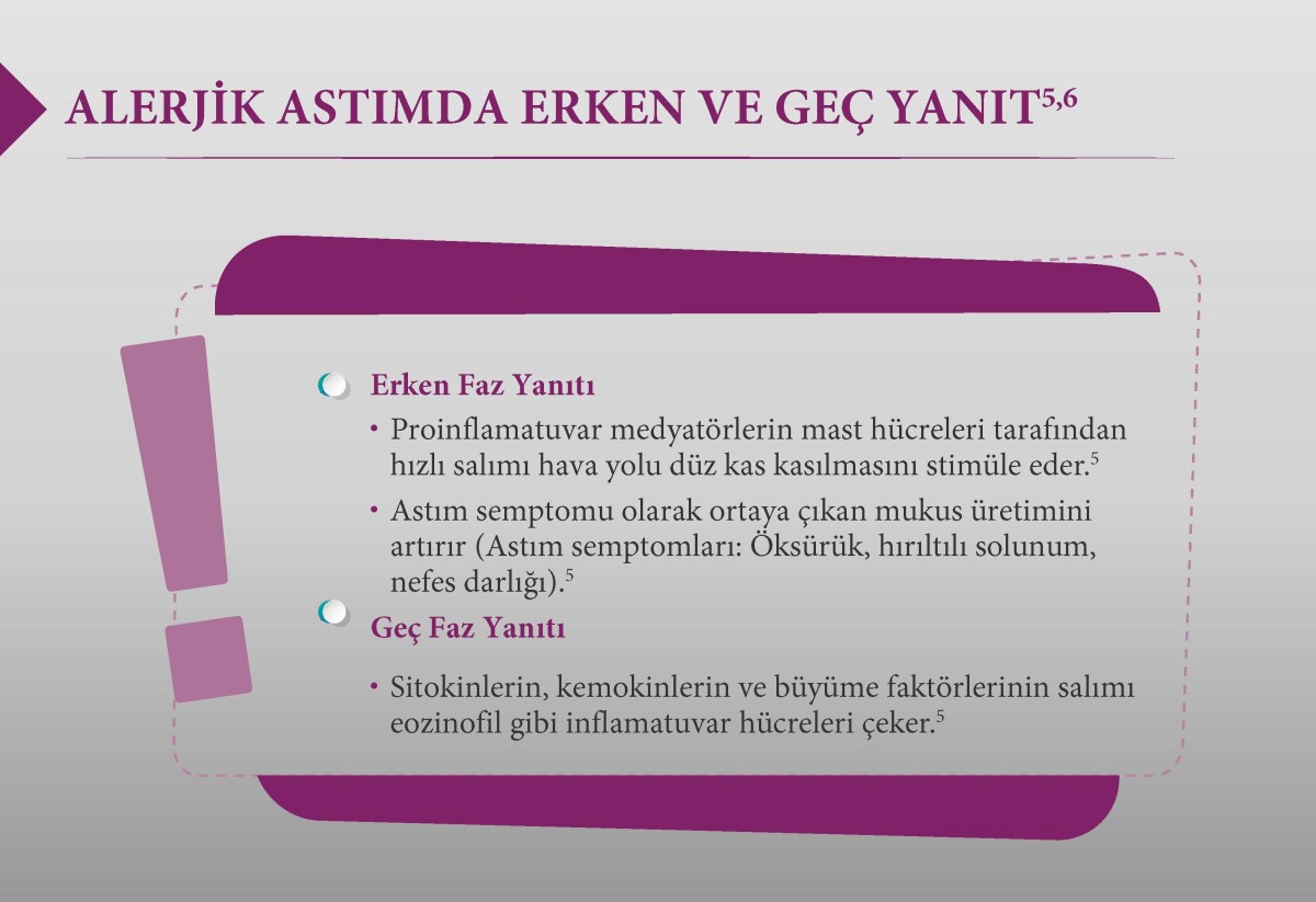 astimda erken gec yanit astimda erken gec yanit