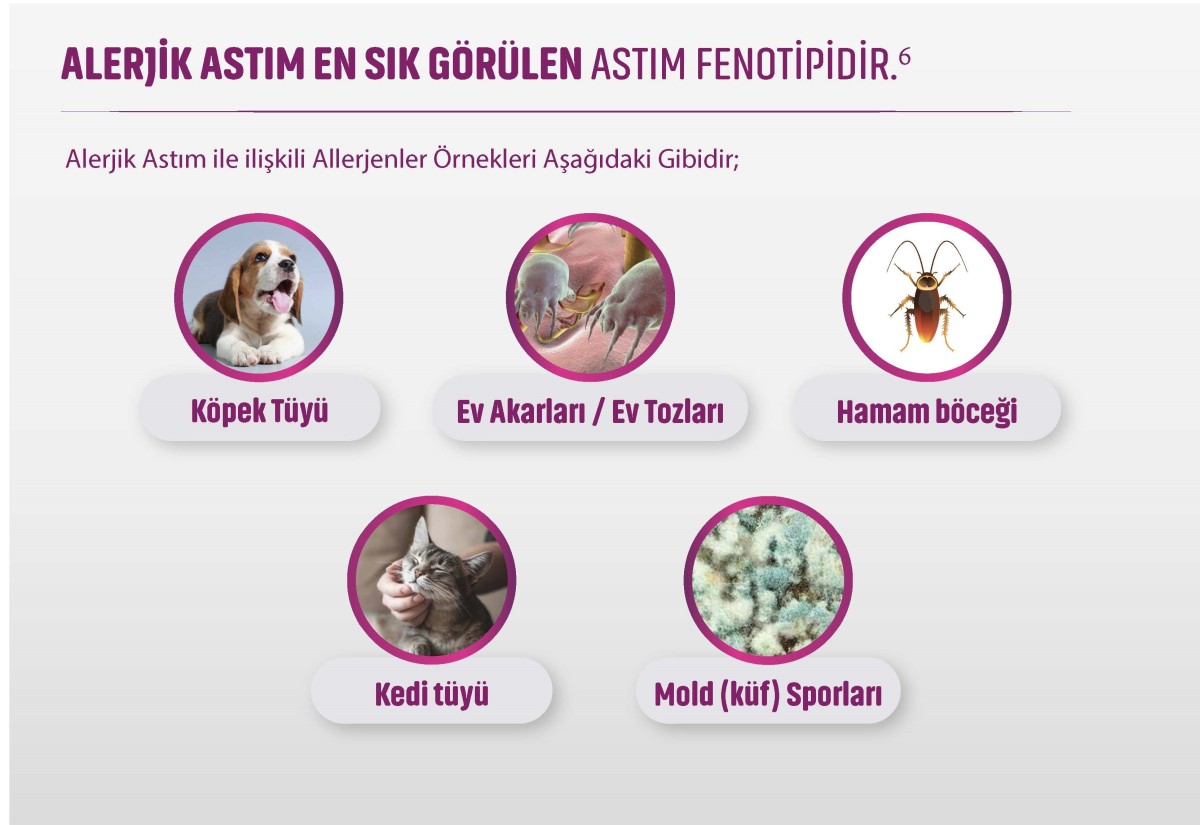 en-sik-gorulen-aaa en-sik-gorulen-aaa