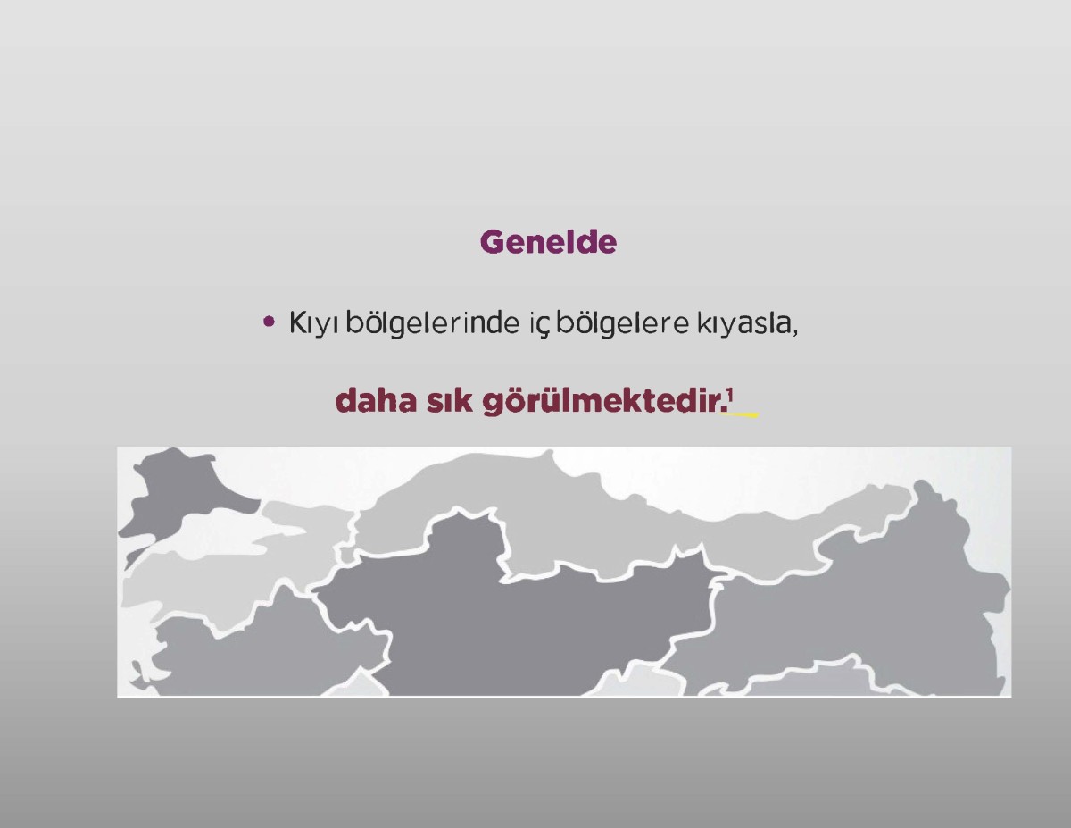 kıyı kesimler kıyı kesimler