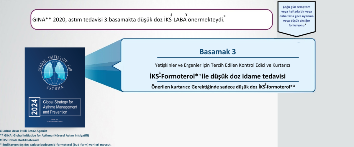 sjia-kılavuz-3 sjia-kılavuz-3