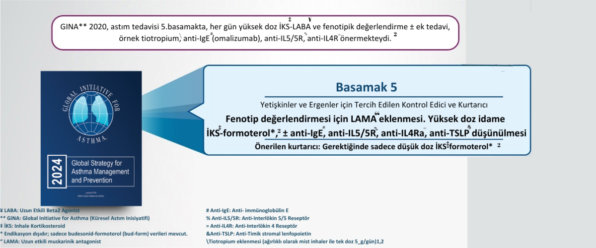 sjia-kılavuz-5 sjia-kılavuz-5