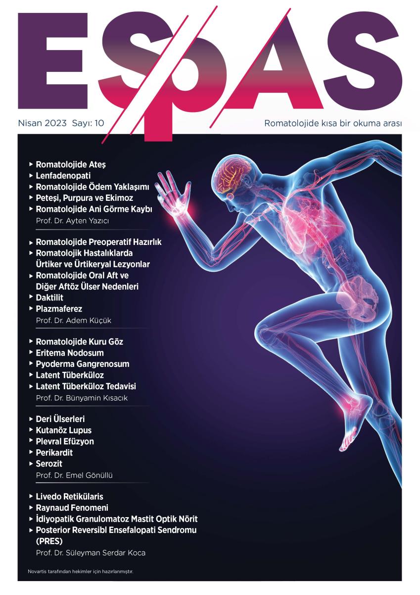 ESPAS Nisan 2023 Sayı 10 ESPAS Nisan 2023 Sayı 10
