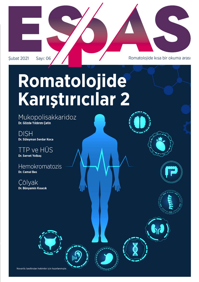 ESPAS Şubat 2021 Sayı06 ESPAS Şubat 2021 Sayı06