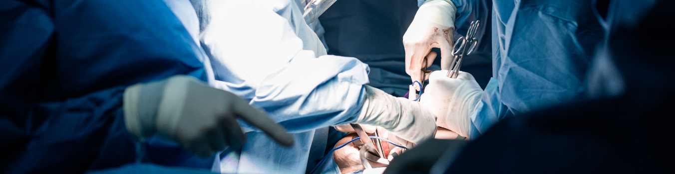 organ-nakli-ta-ust organ-nakli-ta-ust