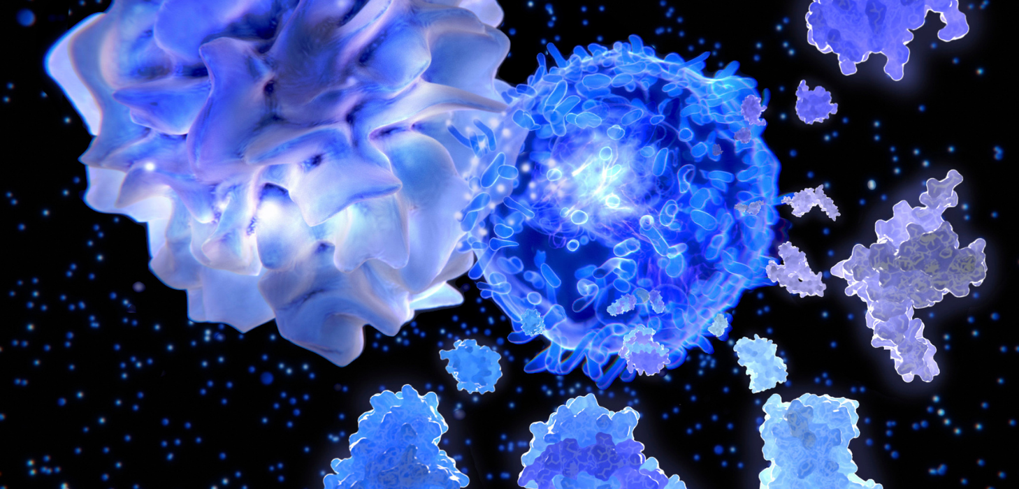 immunology2 immunology2