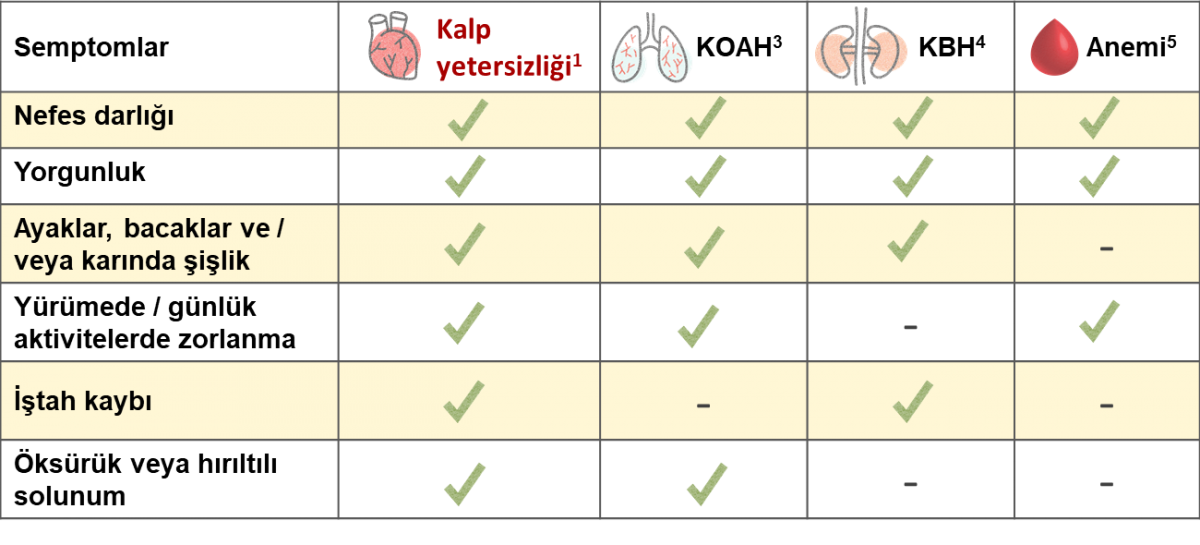 kysemptomlar kysemptomlar