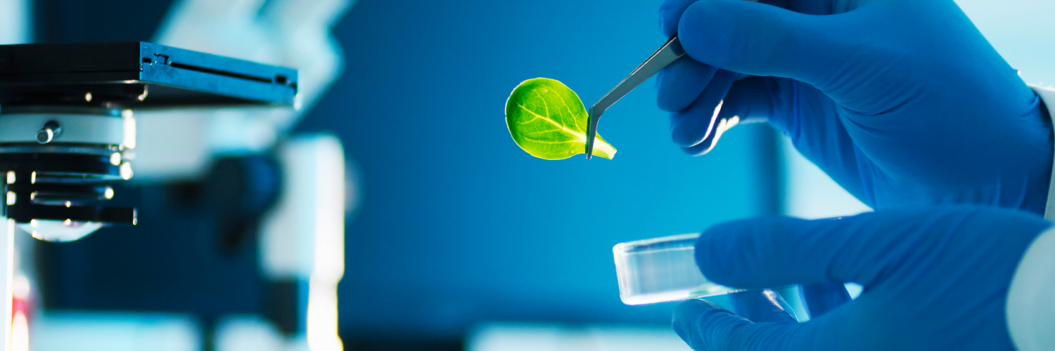 Biyoteknoloji: Sağlık Bakımında Öncü Yaklaşım