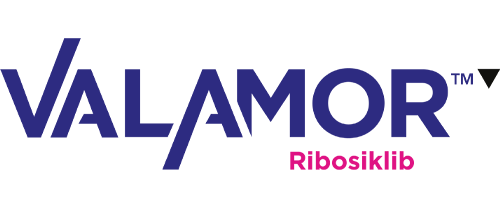 valamor-urun-sayfa-ana-gorsel-logo-500px valamor-urun-sayfa-ana-gorsel-logo-500px