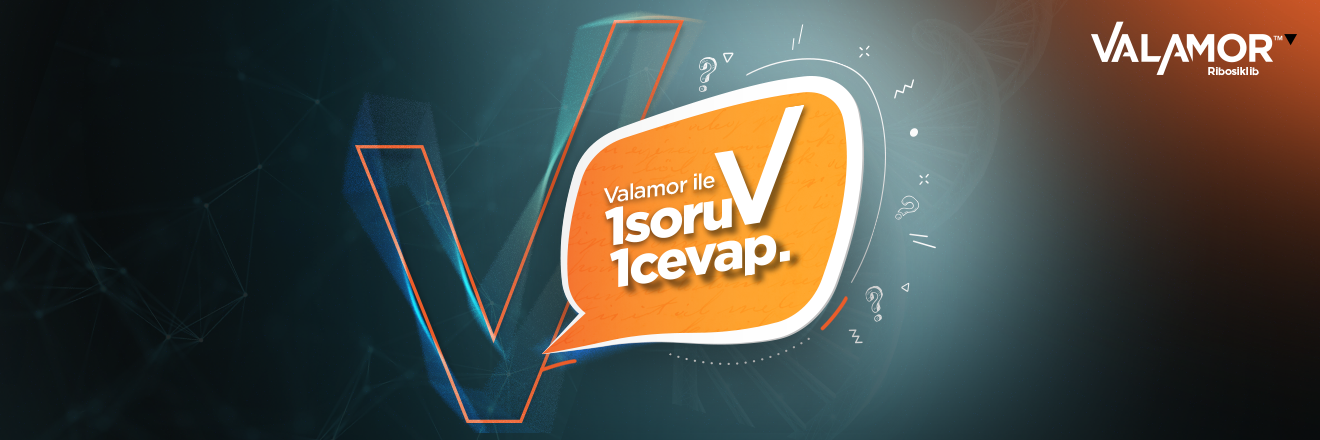 Valamor ile 1 Soru ve 1 Cevap