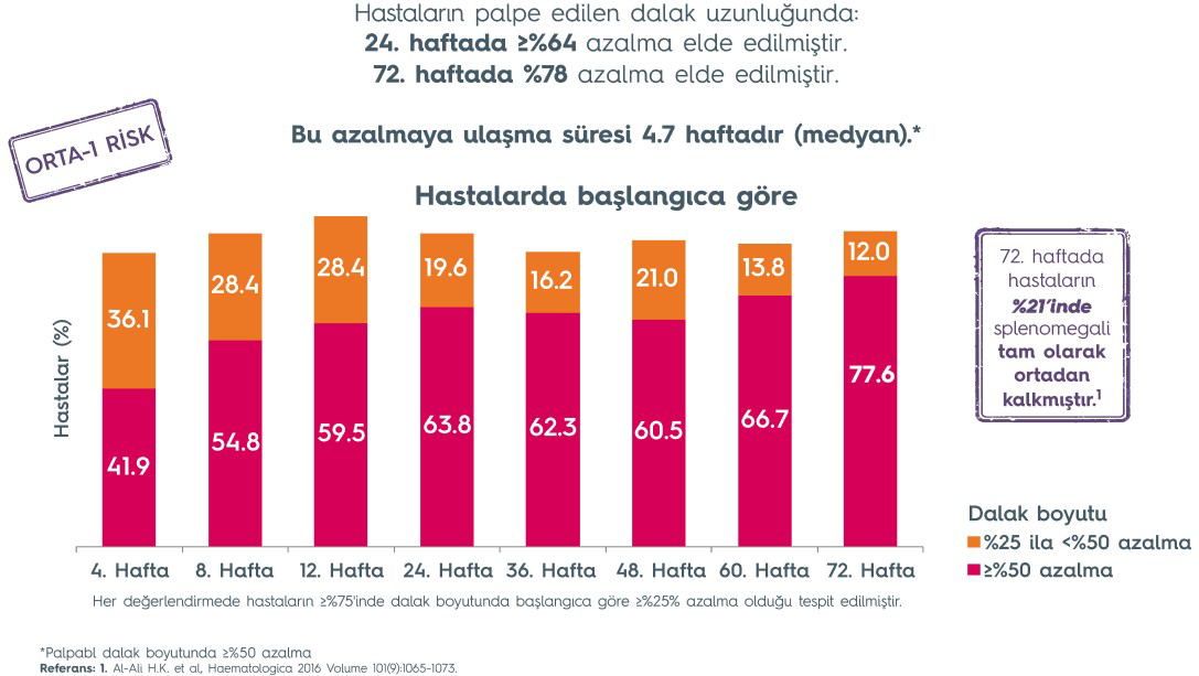 JAKAVI_Launchpad_Page_13 JAKAVI_Launchpad_Page_13