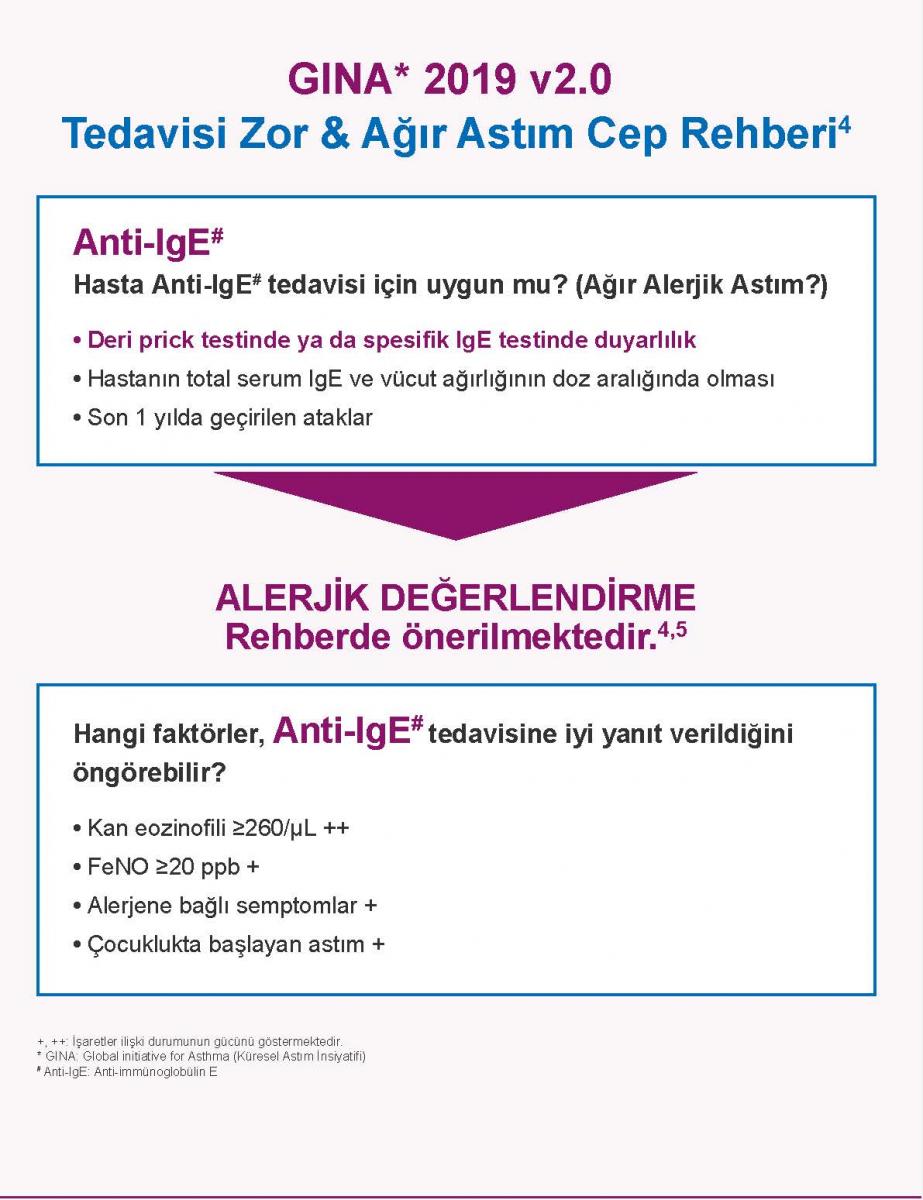 XOLAIR - Extra Çalışması RTE 4