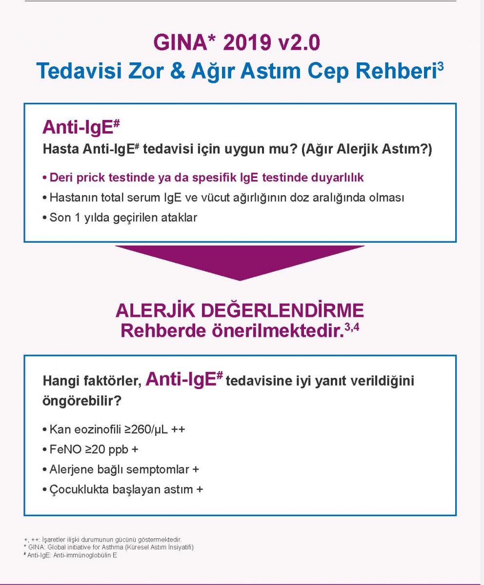 XOLAIR - Stellair RTE (002) 1.3