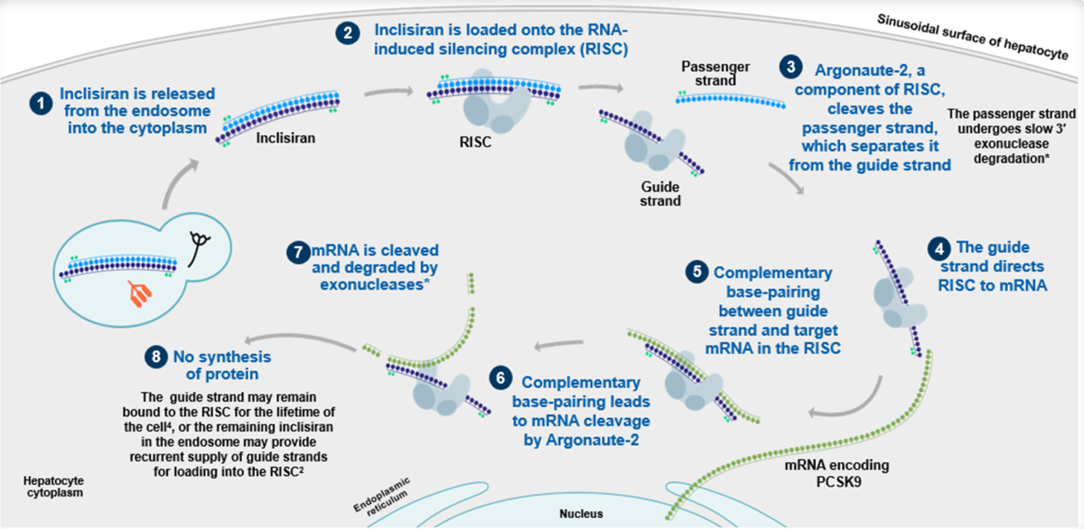 inklisiran22 inklisiran22
