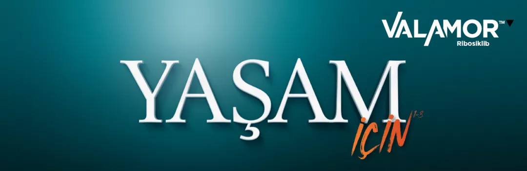 valamor banner
