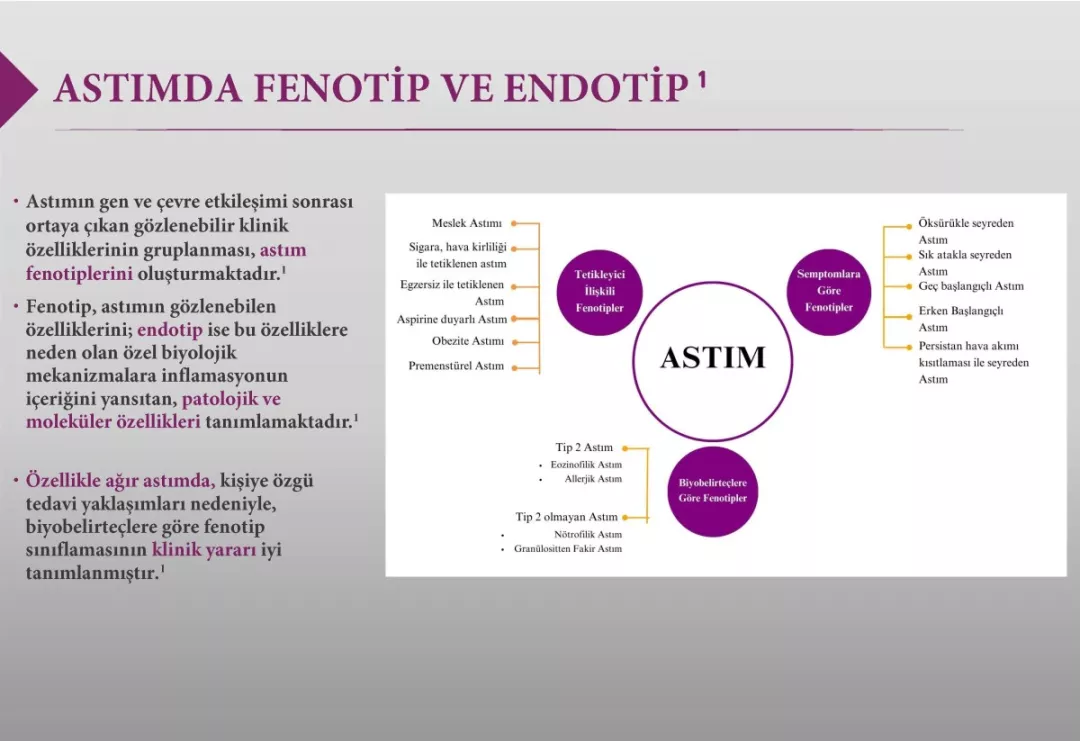 astim-fenotip-endotip