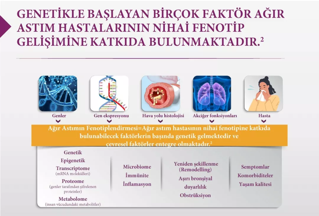 astım fenotipleri
