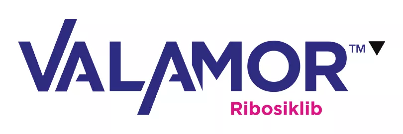 valamor logo
