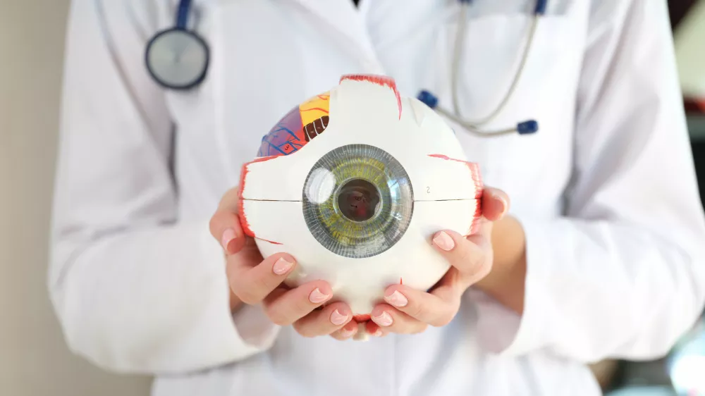 tani-ve-goruntuleme-ofta