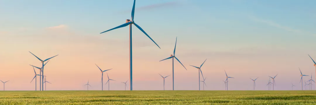 Teknoloji ve Yeşil Enerji