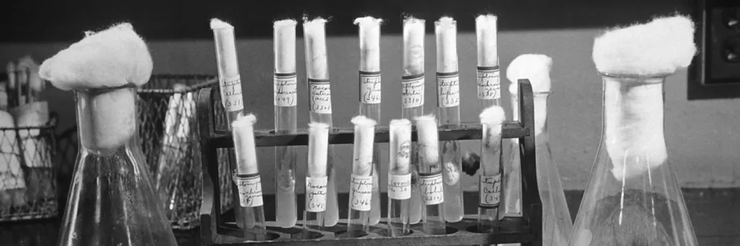 Tıp Tarihinde On Muhteşem Dönüm Noktası