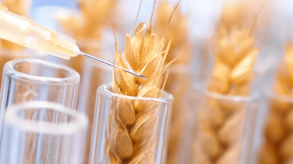 Genetik Mühendislik ve Biyosentetik Yaşam