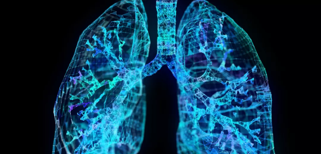 respiratory2