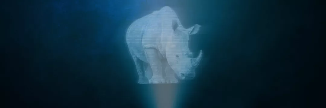 Holografik Teknolojiler ve Geleceğin İletişim Teknolojileri