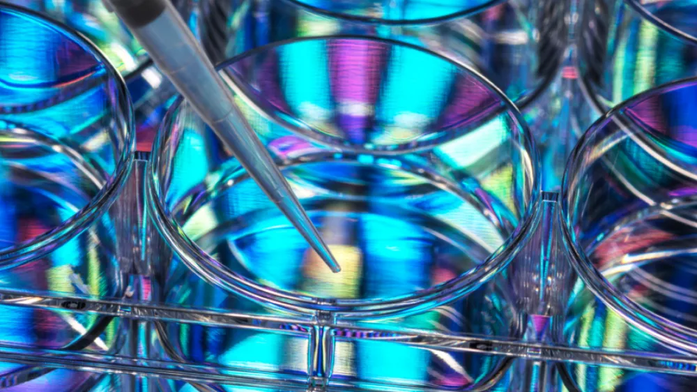 Biyonanotıp Çağı: Akıllı İlaç Moleküllerinin Geleceği