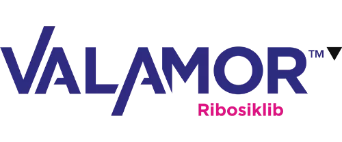 valamor-urun-sayfa-ana-gorsel-logo-500px