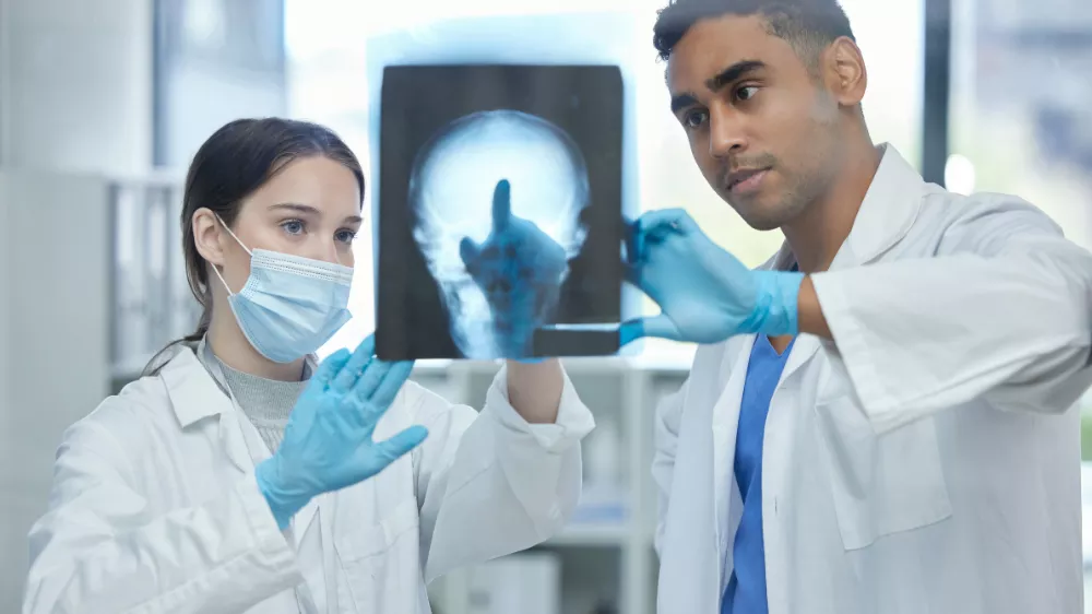 Finya Hakkında Finya Hakkında