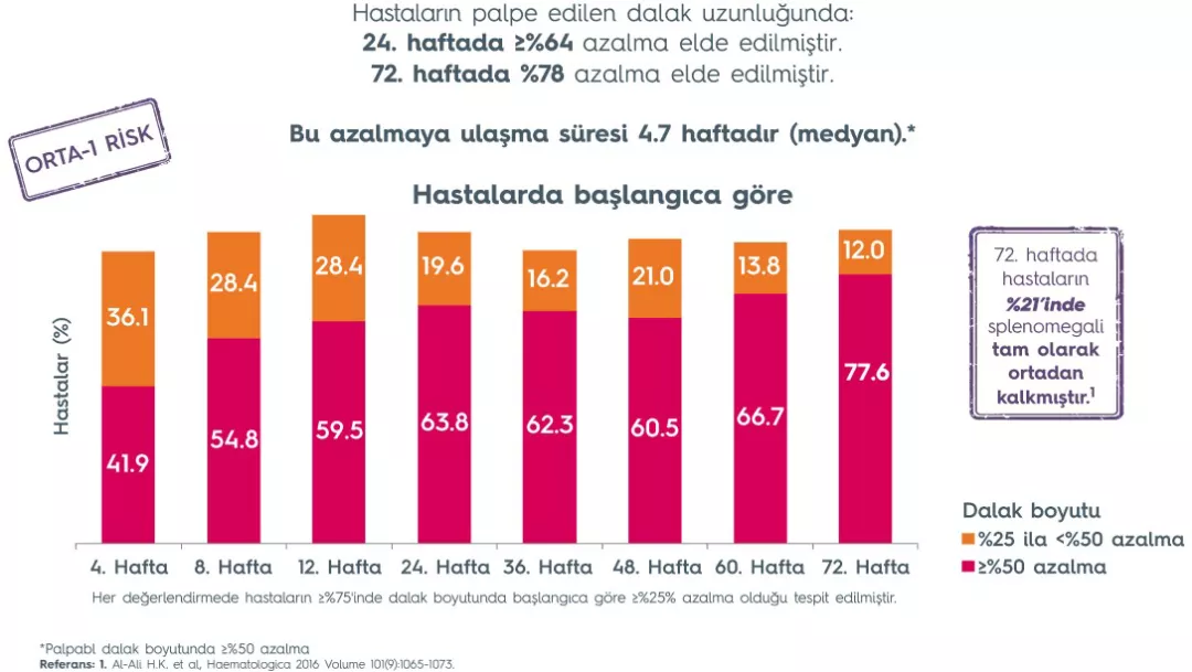 JAKAVI_Launchpad_Page_13