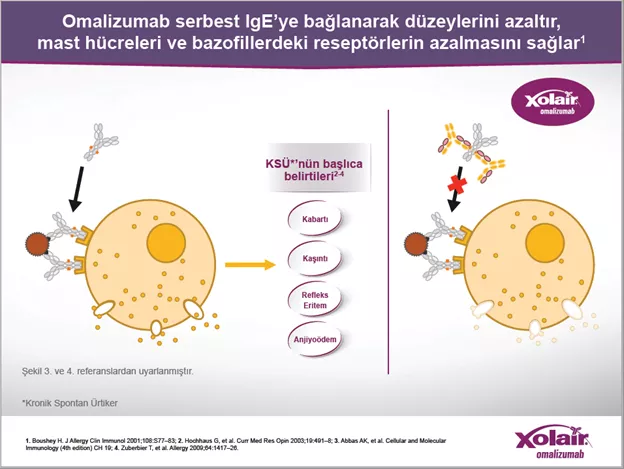 Tedavisinde Xolair_Img2