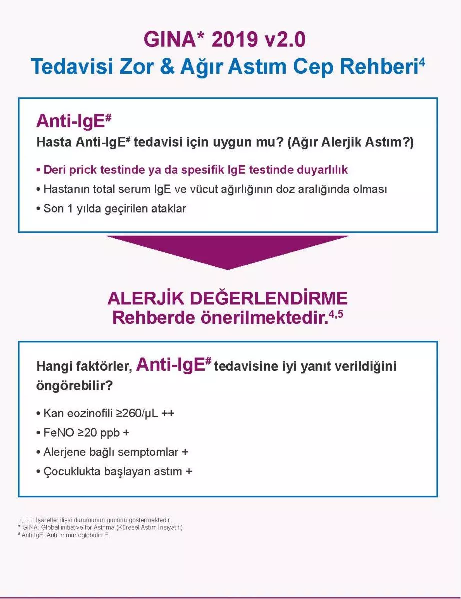 XOLAIR - Extra Çalışması RTE 4