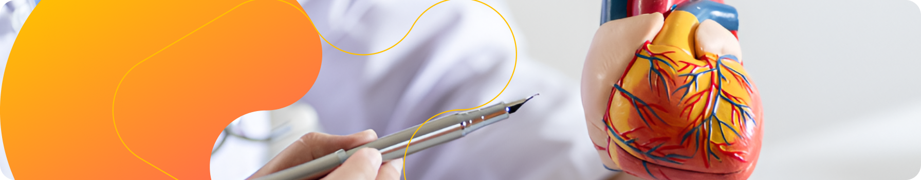 Кардіологія Кардіологія