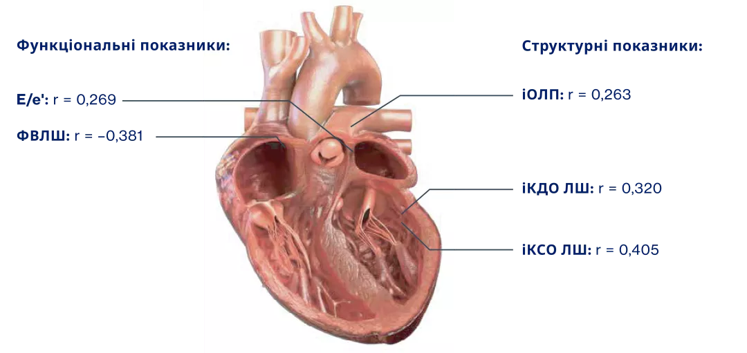 Первинна кінцева точка дослідження PROVE-HF