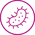 Icon representing parasitic infections.