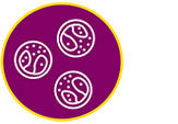Icon representing eosinophil levels.