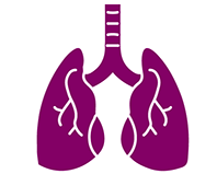 Icon of a pair of lungs. Icon of a pair of lungs.