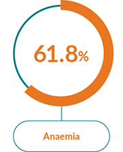 Box with the text Anaemia and a pie chart showing 61.8%. Box with the text Anaemia and a pie chart showing 61.8%.