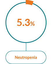 Box with the text Neutropenia and a pie chart showing 5.3%. Box with the text Neutropenia and a pie chart showing 5.3%.