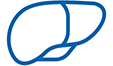 Icon of a liver representing hepatic impairment. Icon of a liver representing hepatic impairment.