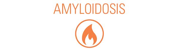 Image representing Amyloidosis. Icon of a flame and text reading 'Amyloidosis'.