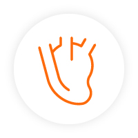 Icon of a heart. Icon of a heart.