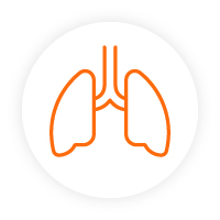 Icon of the lungs. Icon of the lungs.