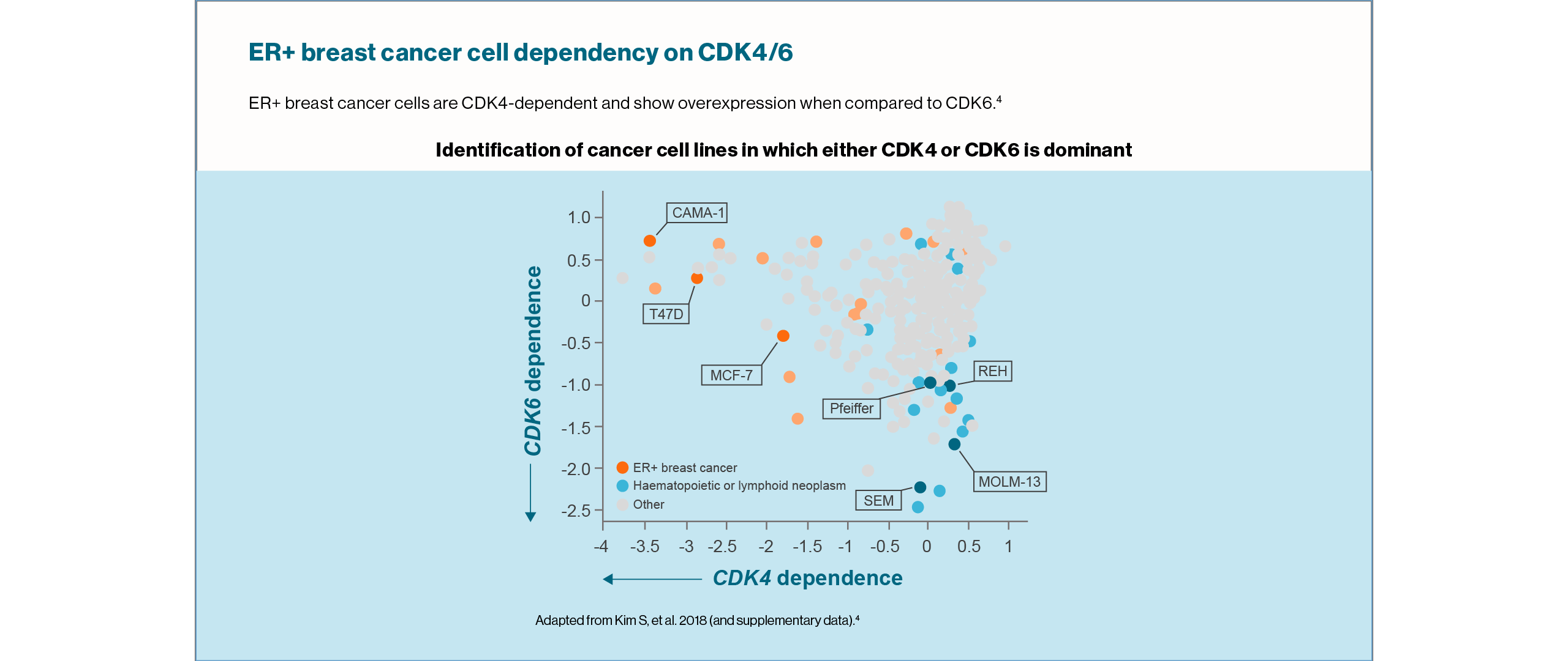 kisqali-moa-slide2_1280