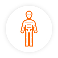 Icon to represent critical visceral disease. Icon to represent critical visceral disease.