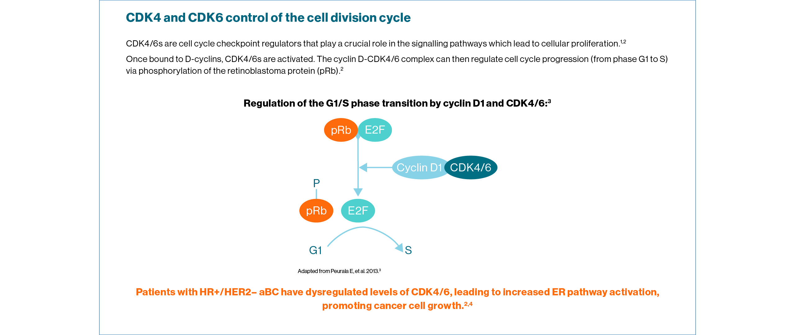 kisqali-moa-slide1_1280